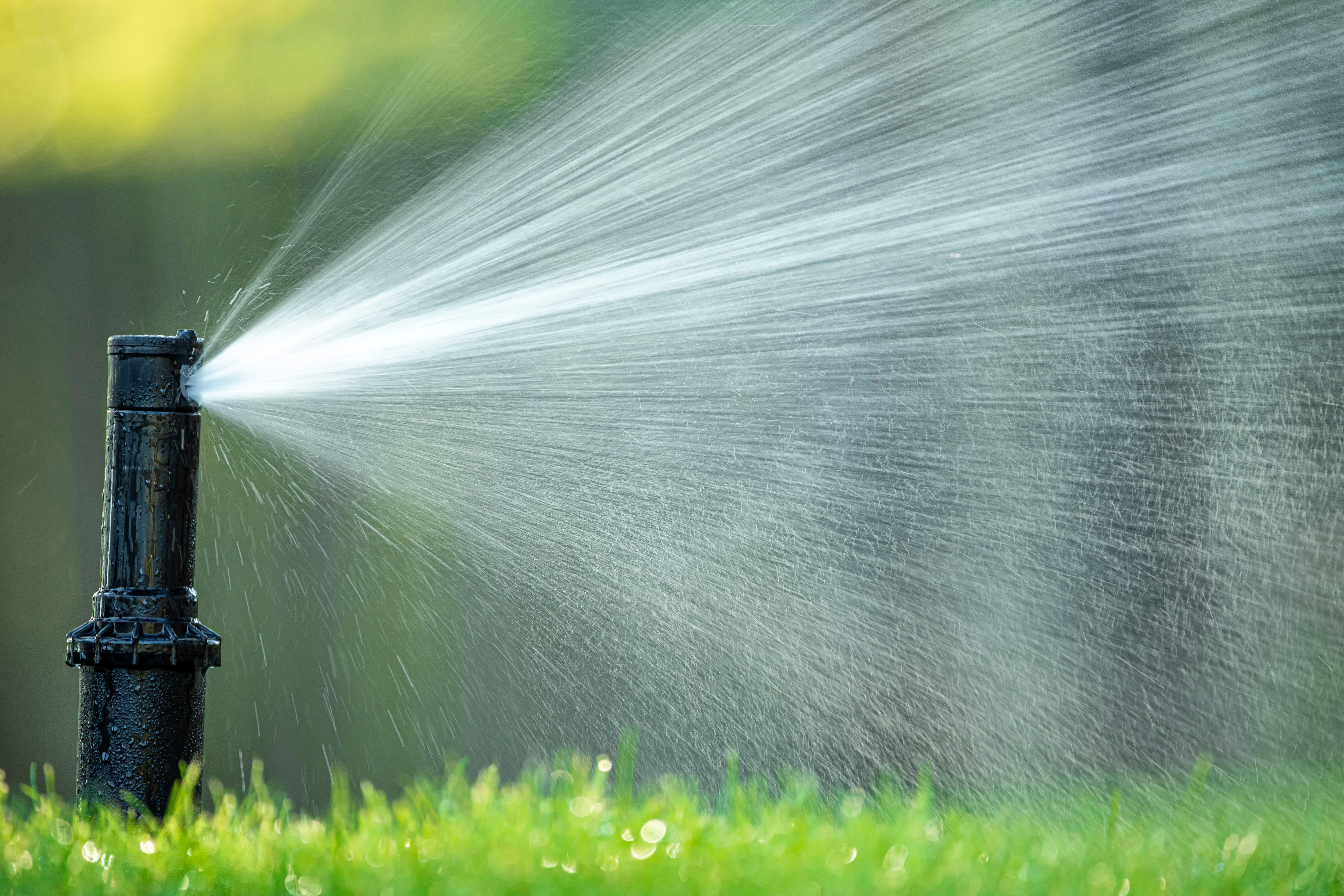 Irrigation water spray