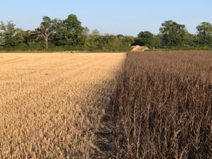 ARC's first ADOPT Project: Yorkshire Crop Nutrition Club