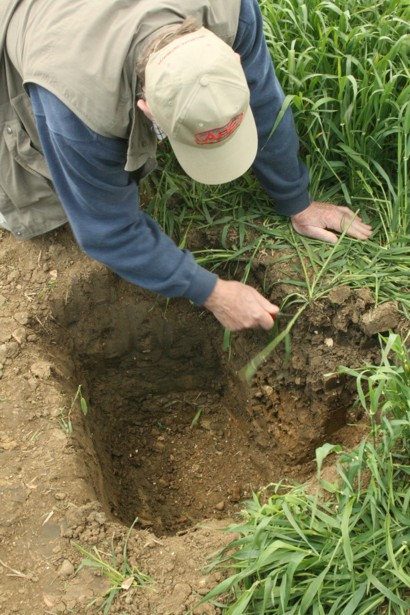 Digging a soil inspection pit