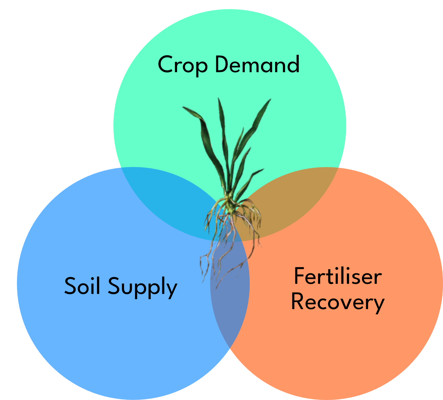 Venn Diagram-1
